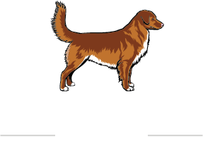 Logo of the Nova Scotia Duck Tolling Retriever Club of Canada
