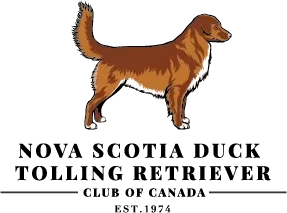 Toller logo