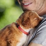 Toller puppy on shoulder
