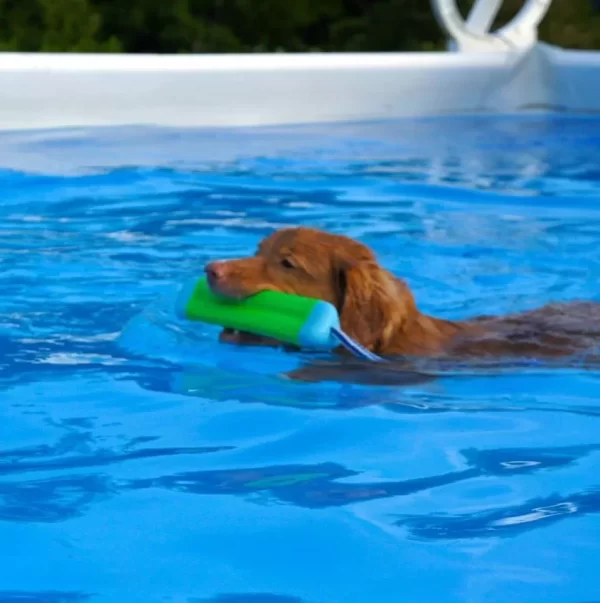 Toller reese2014