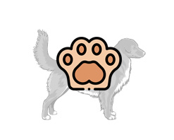 Toller product breeder directory kennel