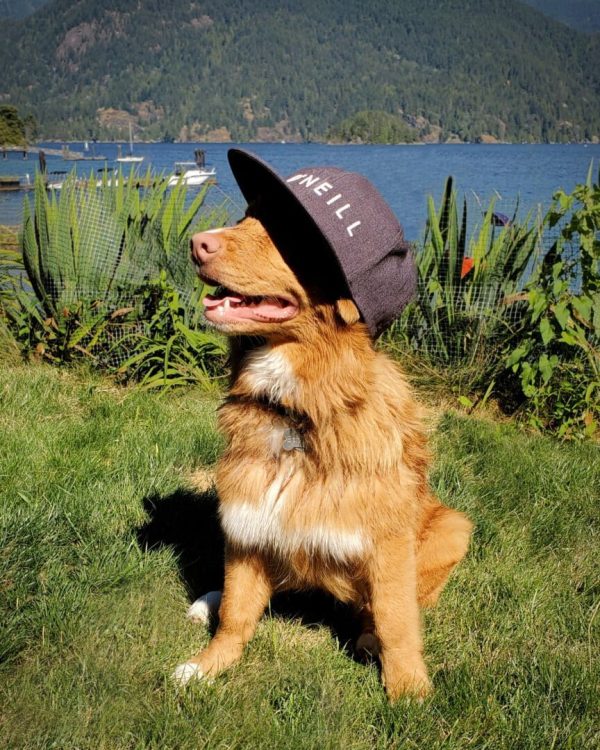 BarkleyHat