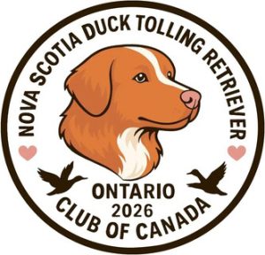 Nsdtrcc ontario