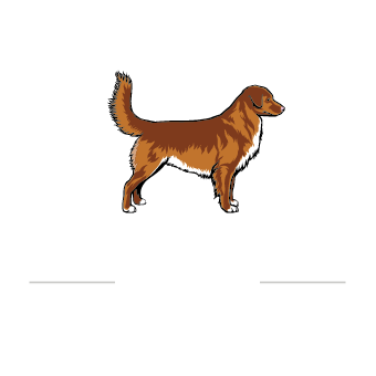 Nsdtrcc logo square2 white